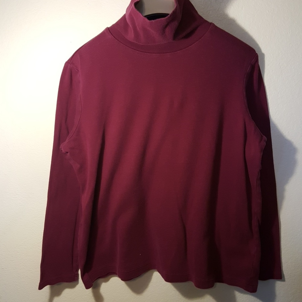 Burgandy Turtleneck with Long Sleeves